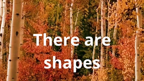 How many shapes are out there?