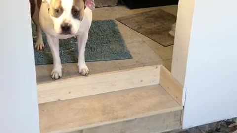 The big scary step (remodel)