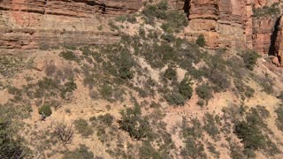 More Than A View - Grand Canyon in Depth - Episode 01