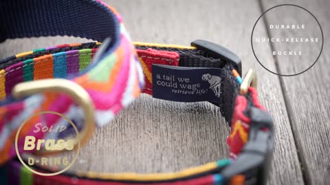 Handmade " Side-Release Dog Collars " a part of a tail we could wag line of Collars, Leashes & Belts