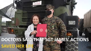 U.S. Marine Saves Life of Okinawan Woman Bitten by Viper