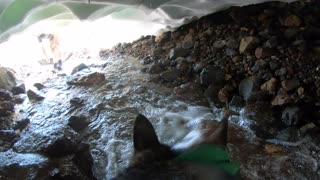 German Shepherd wearing GoPro explores natural ice bridge