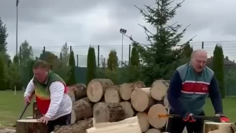 Lukaschenko hackt Holz für uns.