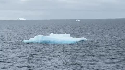 UN Chief Flew (Private Jet) To Antarctica And Warned About Dire Consequences Of Burning Fossil Fuels