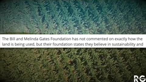 Why is Bill Gates buying farmland?