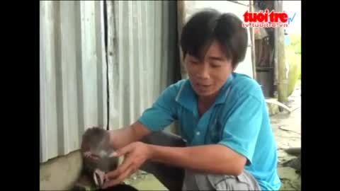 Kỳ lạ: Chú chó làm ‘bảo mẫu’ cho đàn chuột cống ở Bạc Liêu, ôm ấp vuốt ve như con đẻ