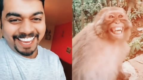 When man prank in dougy 😆 animal funny video