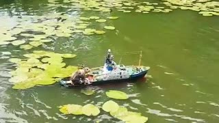 Bunny on cruising on a boat down a lake