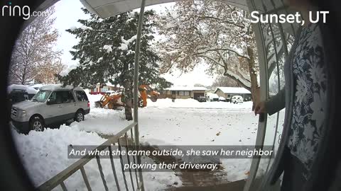 Little Girl Crosses Paths With A Bobcat & Dad Forgets Dog Outside | Neighborhood Stories
