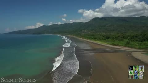 Costa Rica Jungle Beautiful Tropical Rainforest - Part 03