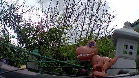 Squirrel imitates dinosaur