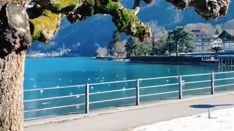 Interlaken,Spiez, in Switzerland
