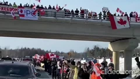 CANADA CORTEO CAMIONISTI PROTESTANO PER LA LIBERTÀ