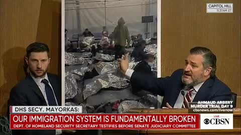 Sen. Ted Cruz to Mayorkas: "Has any Democratic member of this committee given a damn enough to see the children being locked up by Joe Biden"