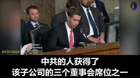 Tom Cotton: CCP Fund Buys 1% ByteDance Stake; Next Day, Show Chew Becomes TikTok CEO