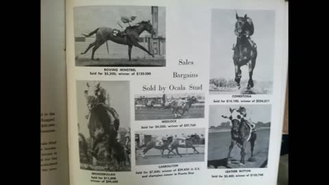 History of Ocala Stud Farm Ocala Florida