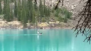 Man and dog riding a boat.