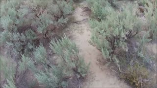 Hike Up Long Gulch To Mustang Traps