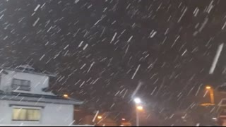 Amazing Snow Falling Video //Heavy Snow Fall//Natural Beauty //