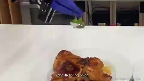 Robot Can Cook After Watching Human Cook