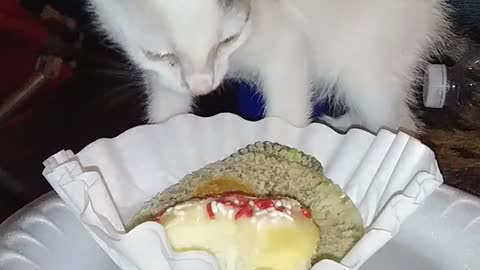 Cake eating a cupcake