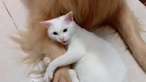 Don’t touch my buddy!