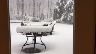 Winter Storm Timelapse