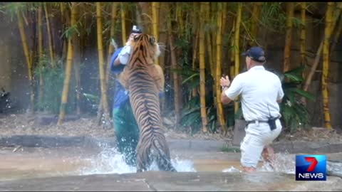 Caught on tape Animal trainer flights life after Tiger atyack
