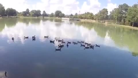 Clever Fisherman Uses Drone To Catch A Fish