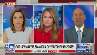 Mercedes Schlapp And Chris Hahn Debate COVID Passports