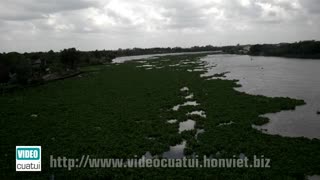 Phu Cuong Bridge - Binh Duong