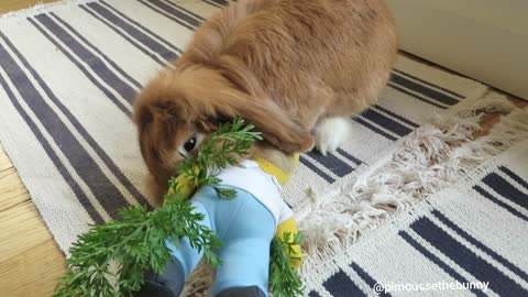 Pimousse bullied Homer who brought him some carrot tops