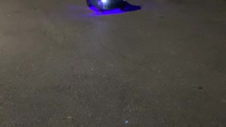 Rc viper at night