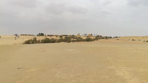 Winter Trip To Wadi El Rayan Marvelous View In Desert