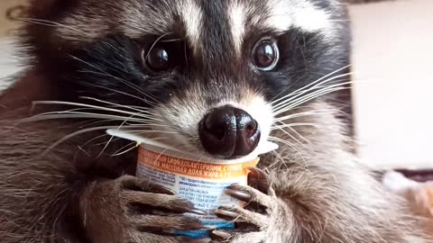 Om-Nom-nom! Likes to hold the container himself