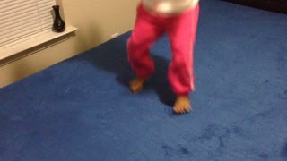 Blasian Babies Sister Bounces On Memory Foam!