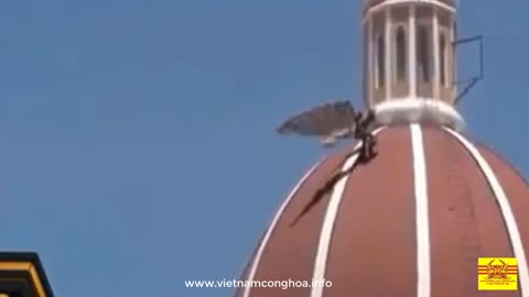 Demon Observed By Hundreds At Midday On Vatican Roof