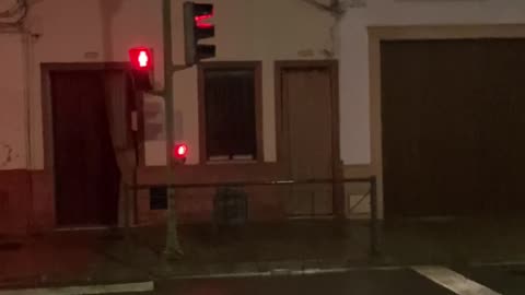 Greyhound Waits at Red Light