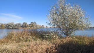 camp spot review Packer lake, Wyoming