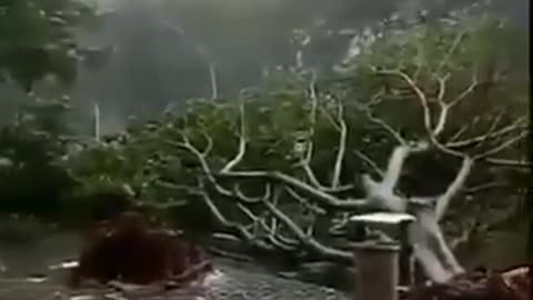 Typhoon is very violent and terrifying and cars are flying