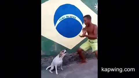 Dog Singing and dancing With A Boy