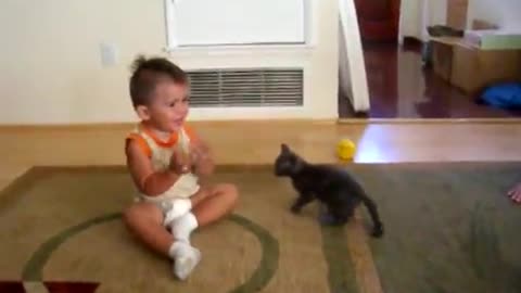 cat try to catch a kid