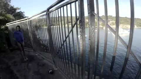 GoPro: Man Fights Off Great White Shark In Sydney Harbour?