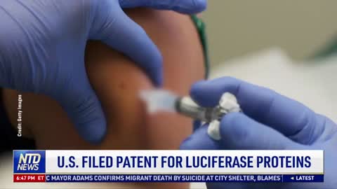 US Filled Patent for Luciferase Proteins