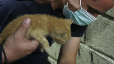 Rescatan sano y salvo a un gatico que se metió en un tubo en Bucaramanga