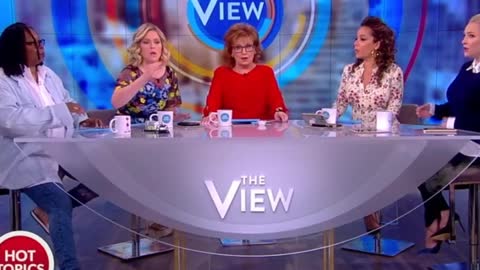 Meghan McCain Schools Joy Behar After She Claims Trump Is Using Syria To Distract From Cohen Raid