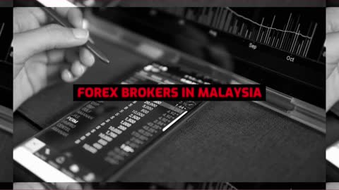 Our Best Payeer Forex Brokers In Malaysia