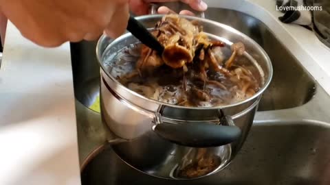 Cooking honey mushroom