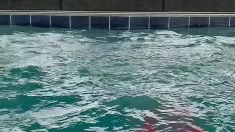 Lana sliding/diving off slide