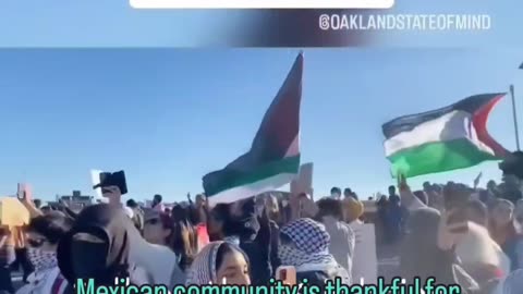 Israel Palestine Mexican protest Maga California racist slur